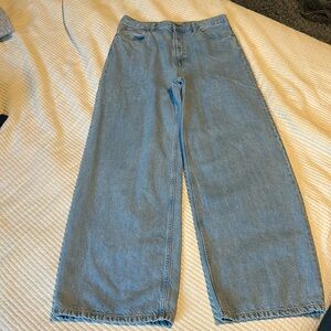 Everlane - OG Baggy Jean in Moraine Wash (light wash) size 30 regular